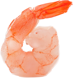 Camarones