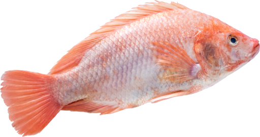 Pescados